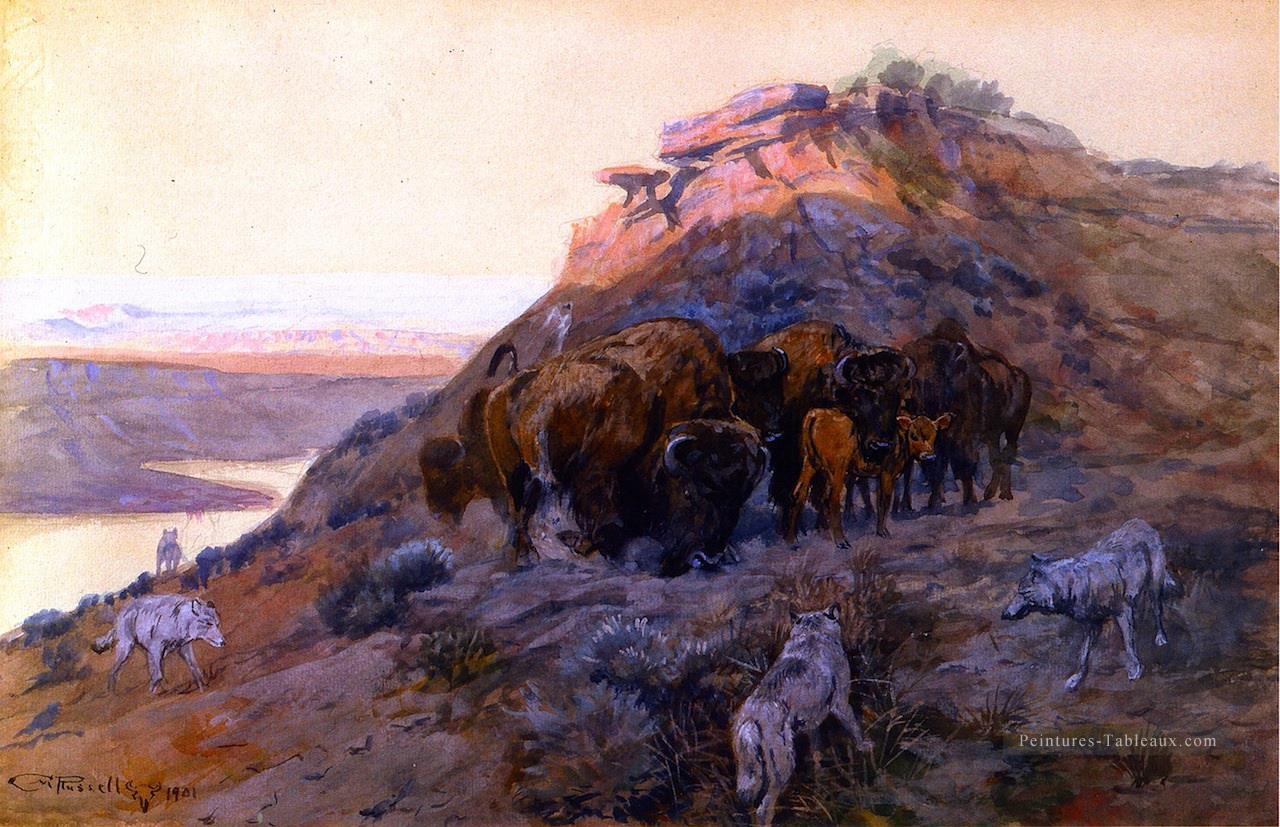 Buffalo troupeau à la baie 1901 Charles Marion Russell Indiana cow boy Peintures à l'huile